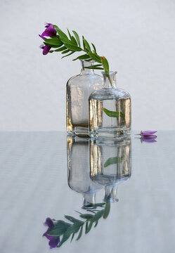 Still life with  milkwort  flower in a vintage glass vase and small bottle on a glass-topped table.