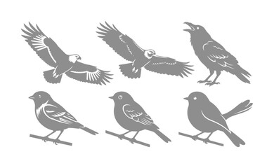 Obraz premium Monochromatic bird vector set, a collection of 6 detailed avian illustrations, including flying eagles and perching songbirds, ideal for nature-themed designs and wildlife branding.