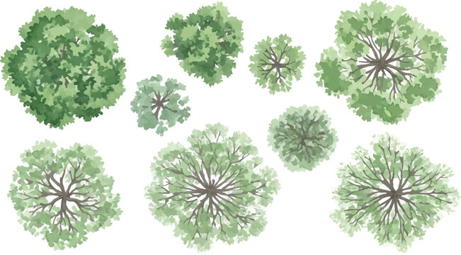 Architectural tree plan symbols for landscape design, collection of 9 green top view trees for site mapping, watercolor style vegetation icons for garden masterplan layouts isolated PNG with