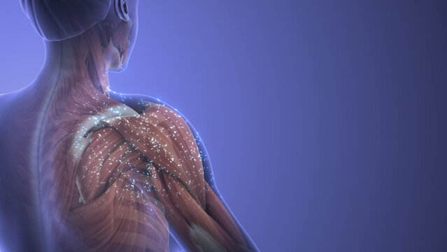 Persistent Tingling Sensation in Shoulder Muscles