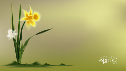 Minimal spring greeting background with stylized daffodil flowers and green leaves on soft gradient backdrop, warm yellow tones, copy space, ideal for seasonal banners, cards, and website headers. © hasan