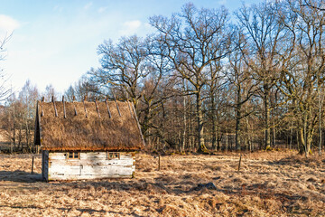 Rustic old wooden cabin with thatched roof in rural landscape © Lars Johansson