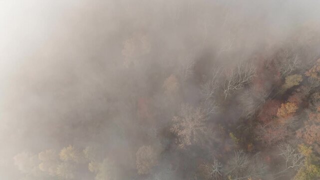 Aerial drone footage of reverse flight over foggy autumnal forest