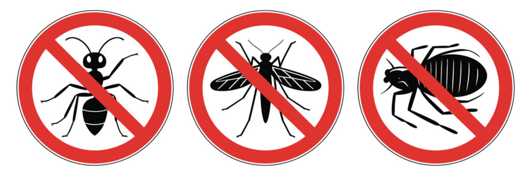 Household pest prohibition icons illustration, ticks termites mosquitoes fleas and flies symbols for hygiene safety and insect prevention signage.
