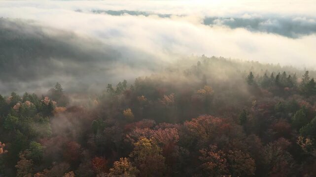 Aerial drone footage of sideways flight over gorgeous foggy autumnal forest at sunrise