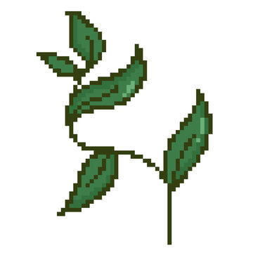Green vine sprout with leaves pixel art icon nature element