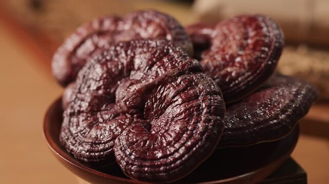 Close-up rotating view of dried reishi mushroom, showcasing glossy surface, natural wood-like patterns, and rich reddish-brown tones. The rotation reveals thickness and iconic rounded form.