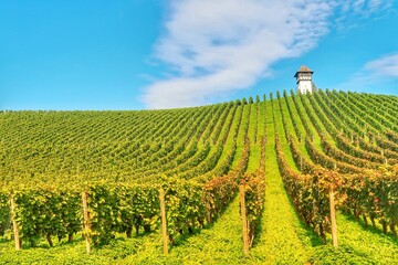 Fototapeta premium Meersburg is located in the Germany in the East part of Lake Constance.