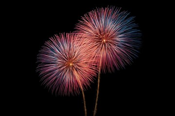 Obraz premium Vivid fireworks blossom, illuminating the night sky. Two symmetrical bursts of color