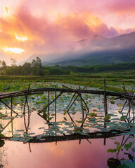 Dreamy Vietnam Sunrise Over Lotus Pond and Misty Mountains
