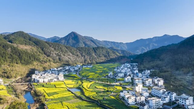 Aerial time-lapse of rapeseed flower fields patches weave between white Huizhou-style villages in spring valley, Wuyuan County, Jiangxi Province, China