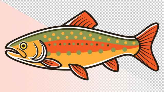 Illustration of a brook trout with distinctive spots and colorful body with freshwater fish with white background with fish icon with fish drawing with river fish with fish fin