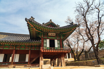 Fototapeta premium 창덕궁 보춘정의 봄- 종로구, 서울