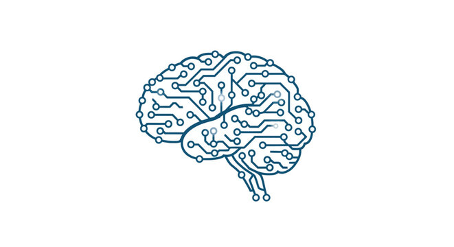 Human Brain Anatomy Medical Illustration.