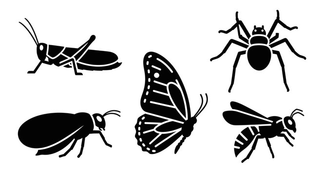 Insect Silhouettes Set: Butterfly, Spider, Grasshopper, Beetle, and Wasp Icons