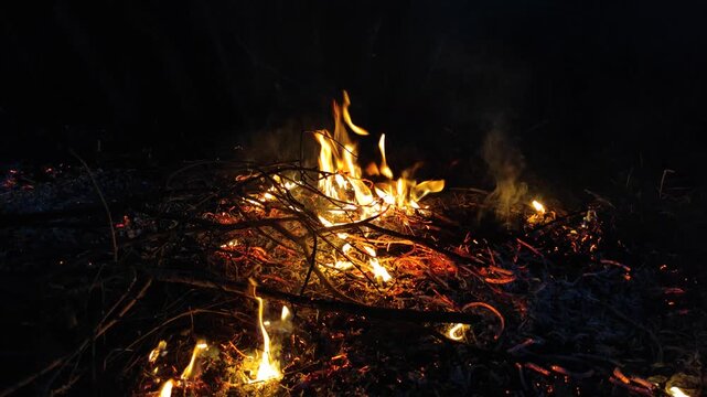 The remains of ash from a fire of dry branches and leaves №1