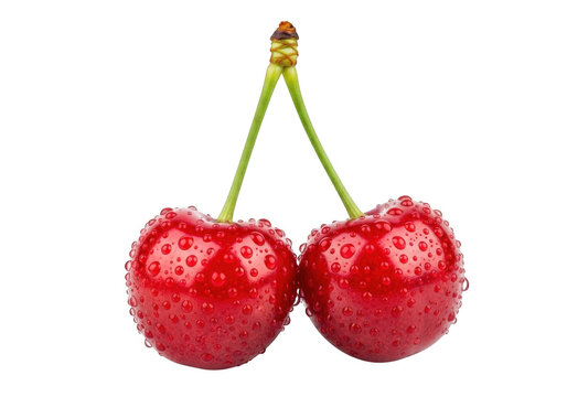 Two red cherries with green stems attached