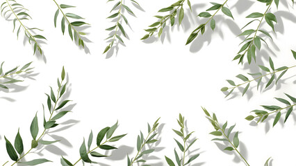 Fototapeta premium Green Eucalyptus Leaves Frame, Natural Border, Spring Summer Botanical Background