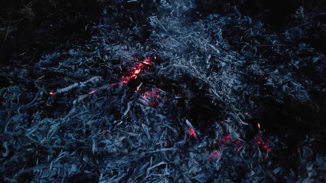 The remains of ash from a fire of dry branches and leaves №3