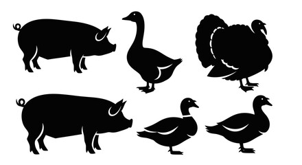 Obraz premium Farm Animals Silhouettes Collection: Pig, Goose, Turkey, and Ducks Vector Illustration