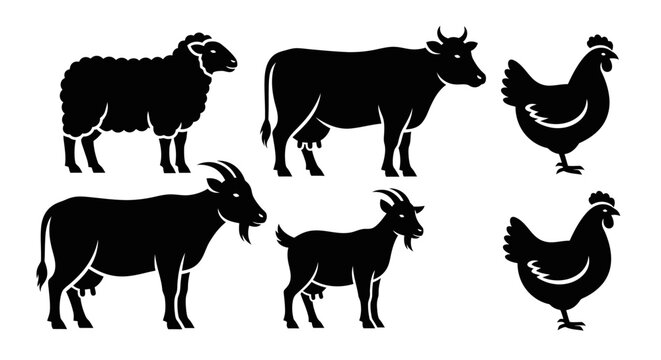 Farm Animals Silhouettes Collection: Sheep, Cow, Goats, and Chickens Icons