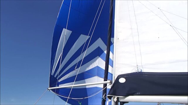 Sailing on a calm sea with city skyline in the background