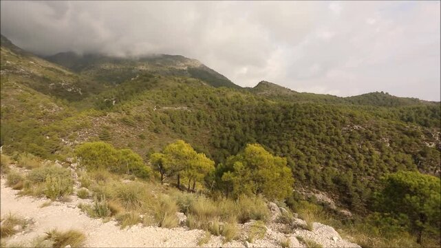 Scenic mountain trail with cloudy skies and lush greenery