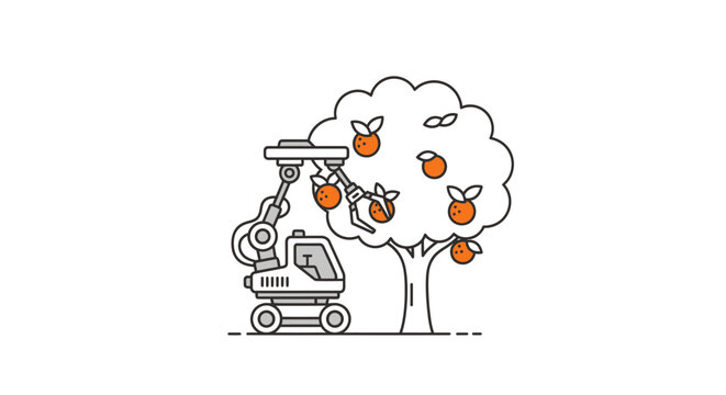 Harvesting oranges from a tree machine.