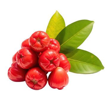A vibrant cluster of wax apples with lush green leaves presented on transparent background