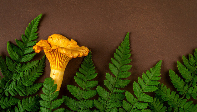 Yellow chanterelle mushroom peeking through lush green fern leaves orange fungus