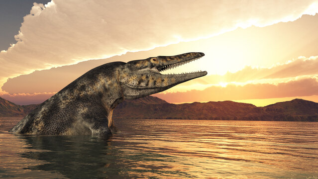 Mosasaurier Tylosaurus in einer K&uuml;stenlandschaft bei Sonnenuntergang