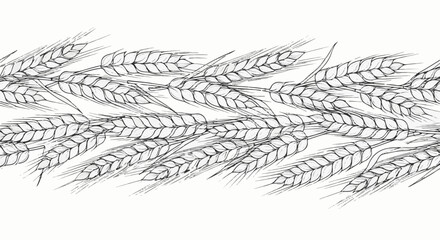 Fototapeta premium Delicate hand-drawn illustration of wheat stalks forming a decorative border