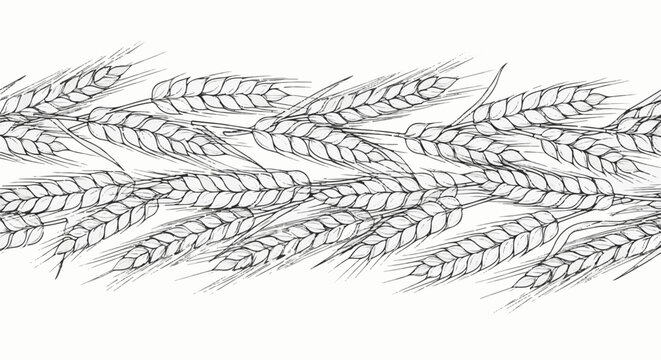 Delicate hand-drawn illustration of wheat stalks forming a decorative border