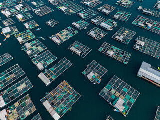 Aerial view Multiple floating fish farm platforms arranged in open water © Parilov