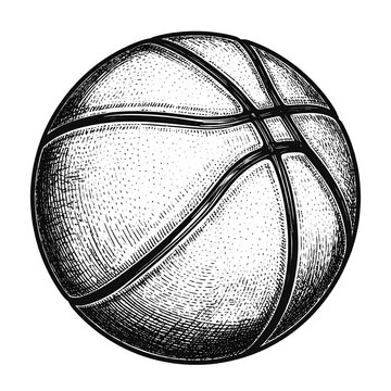Detailed Sketch of a Classic Basketball with Textured Surface.