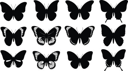 Butterfly silhouettes collection featuring various wing patterns and shapes, detailed black isolated vector set for nature, insect and decorative design projects © mokbul