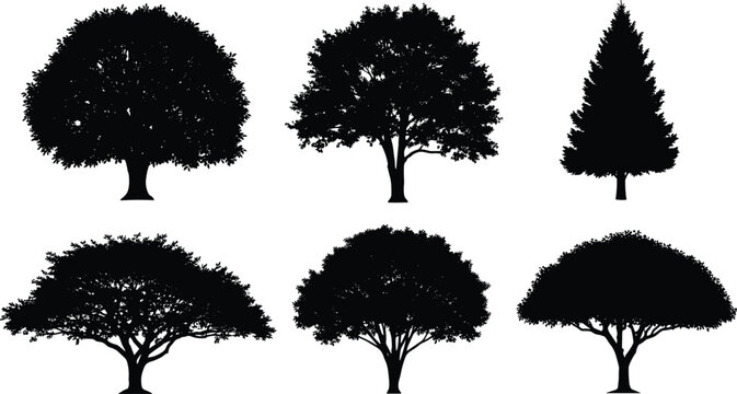 Detailed tree silhouettes set featuring oak, pine and wide canopy trees, black isolated vector collection for forest, landscape and nature design