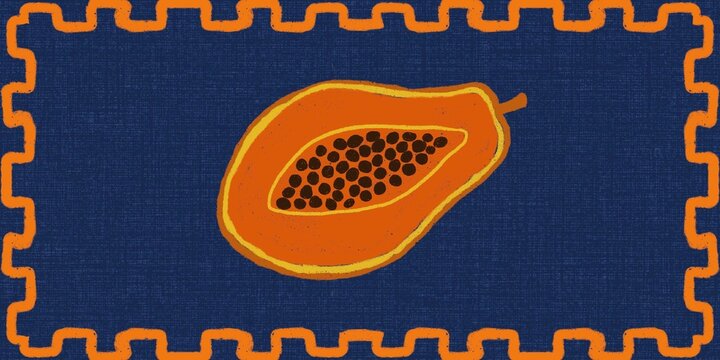 Papaya Illustration with Hand-Drawn Border on Dark Blue Background