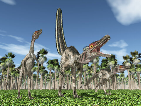 Dinosaurier Velociraptor in einem Urwald
