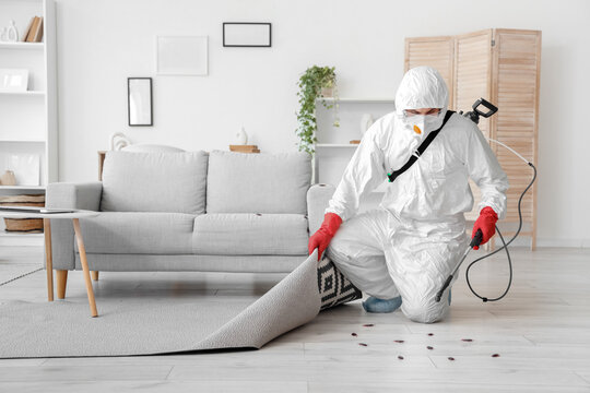 Pest control worker in protective suit spraying insecticide under carpet during cockroach extermination in modern living room interior