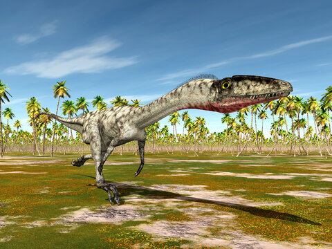 Dinosaurier Coelophysis in einem Urwald