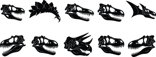 Large collection of dinosaur skull silhouettes including tyrannosaurus rex triceratops and pterodactyl for paleontology education museum exhibits historical research  © MDMizanur