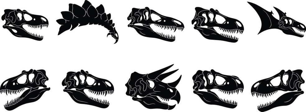 Large collection of dinosaur skull silhouettes including tyrannosaurus rex triceratops and pterodactyl for paleontology education museum exhibits historical research 