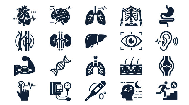 Medical Human Anatomy Organs Health Body Parts Glyph Vector Icons Set
