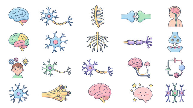 Neuroscience and Nervous System Flat Doodle Icons Set. Brain, Neuron, Synapse, Spinal Cord.