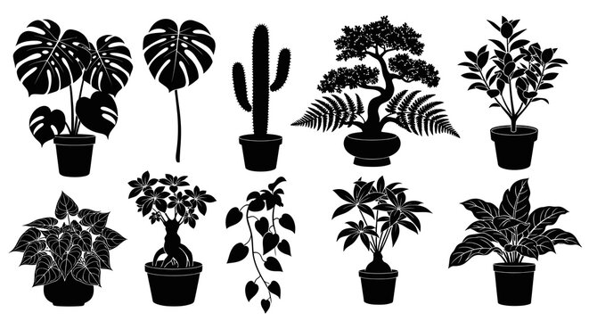 House Plants Black  White Silhouette Vector Icons Set for Home Gardening and Decor