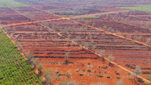 Aerial drone view of Chu Dang Ya volcano in Gia Lai showing red soil farmland, planted rows, dry trees, and geometric patterns forming unique agricultural landscape