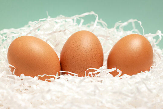 Three brown chicken eggs on blue background for Easter