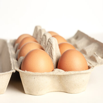 Ten brown chicken eggs carton box for Easter