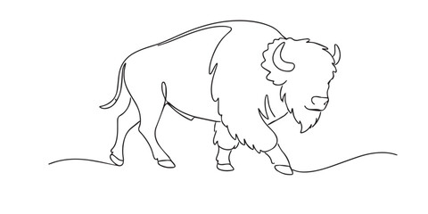 single line bison.continuous line drawing of standing bison with hump and horns.wildlife animal concept.one line vector illustration. © bakul garis